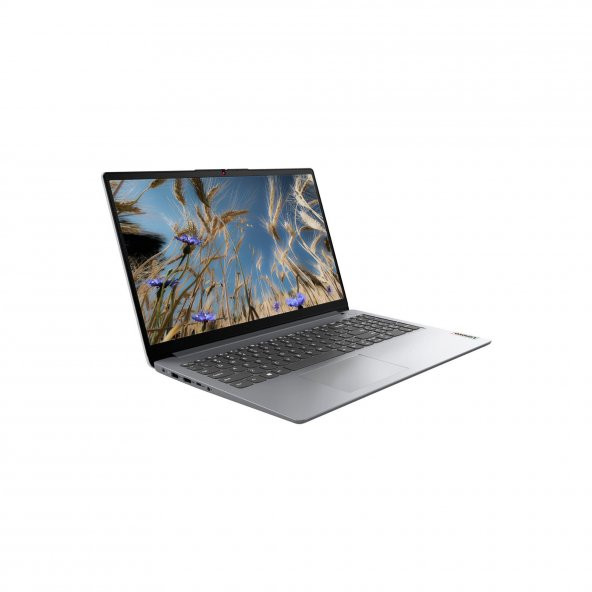 Lenovo IdeaPad 1 82V7006NTX01 N4120 4GB 128SSD+256SSD 15.6 HD FreeDOS Taşınabilir Bilgisayar-CNT002