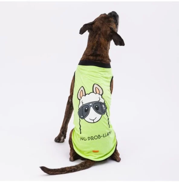 Pawstar Köpek T-Shirt Yeşil No Prob-Lama Büyük 4XLarge Sırt55cm Göğüs72cm Boyun47cm