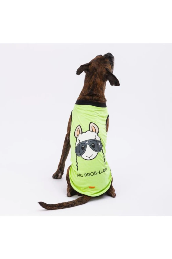 Pawstar Köpek T-Shirt Yeşil No Prob-Lama Büyük 4XLarge Sırt55cm Göğüs72cm Boyun47cm